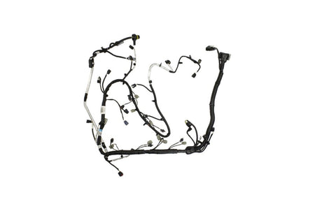 Photo - Unmounted