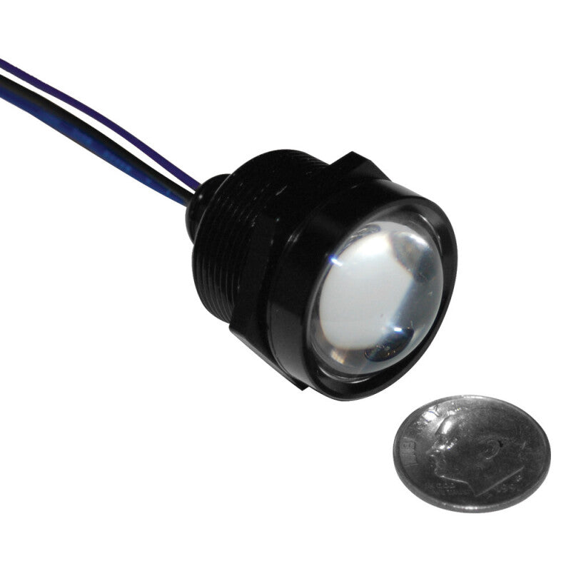 Letric Lighting Royal Flush LED 1in Black/Red/Amber
