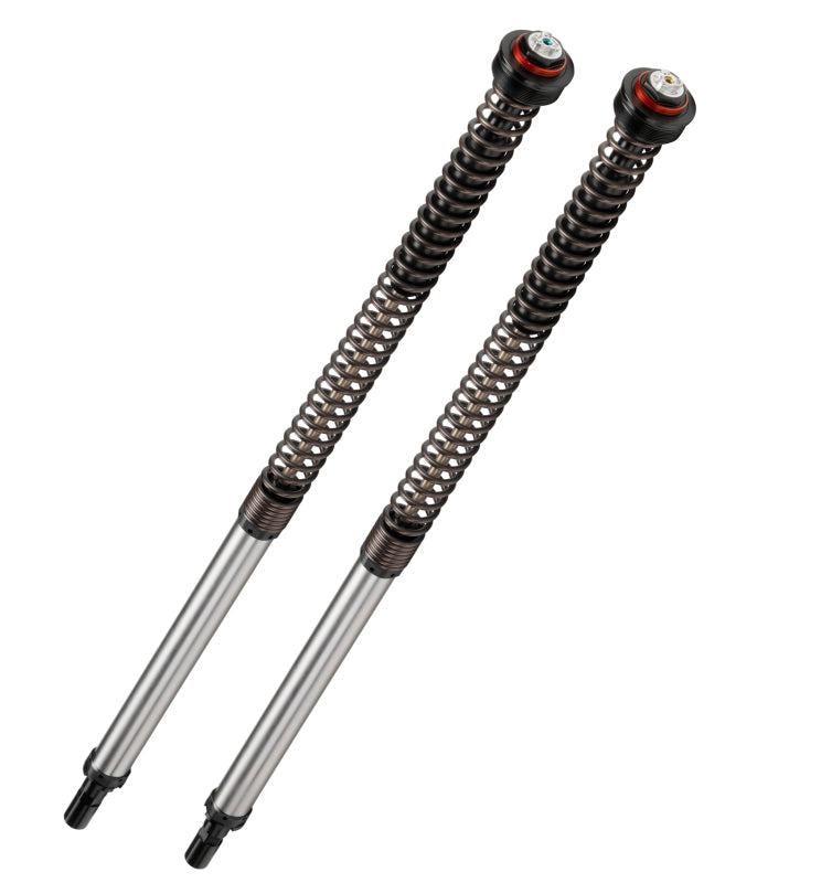 Photo - Primary