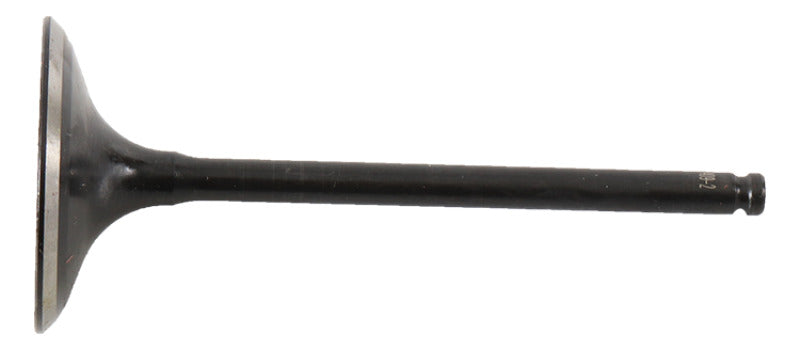 Photo - Primary