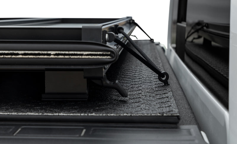 Photo - Mounted