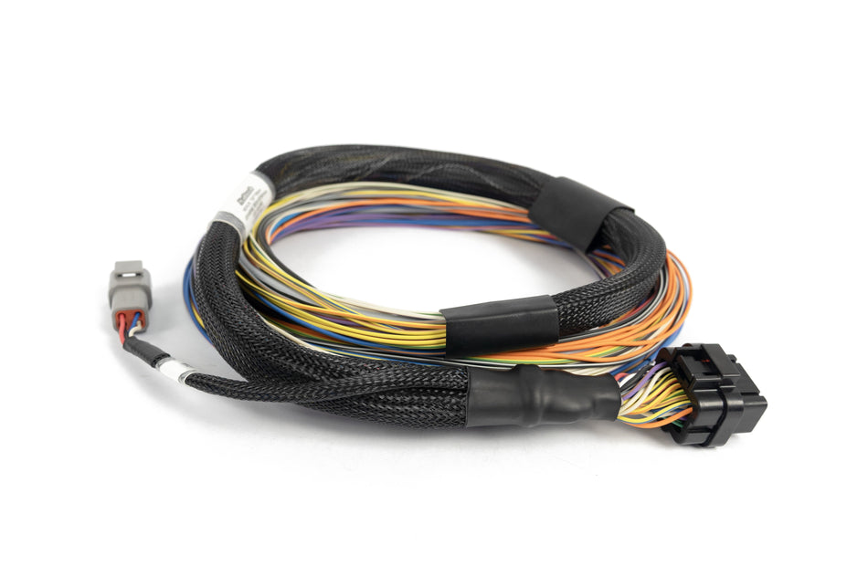 Haltech Nexus T2 / T1 Basic Universal Wire-in Harness