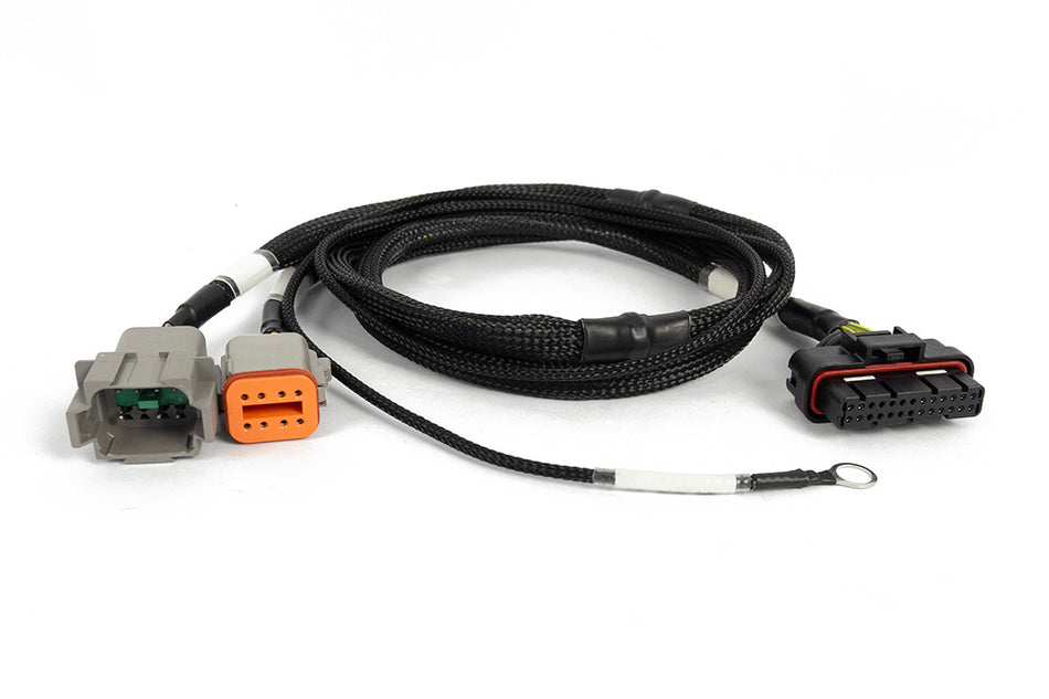 Haltech Nexus 6 Cylinder Igniter Adapter Harness