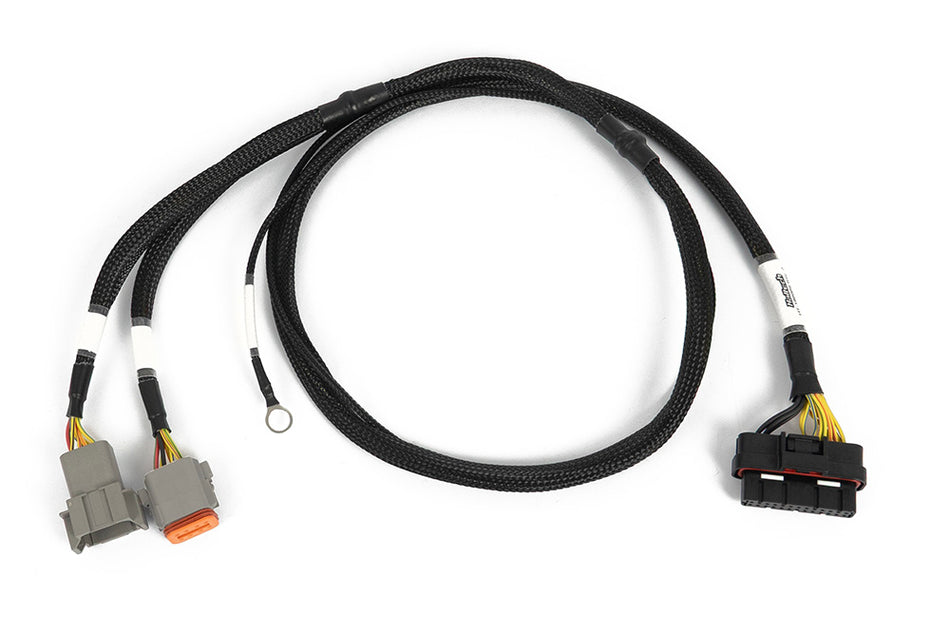 Haltech Nexus 6 Cylinder Igniter Adapter Harness