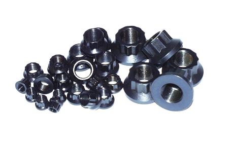 ARP 5/16-18 12pt Nut Kit