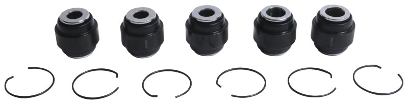 All Balls Racing Rear Ind. Suspension Kit