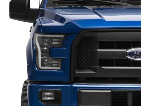 Photo - Close Up