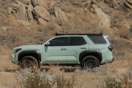 Photo - Close Up