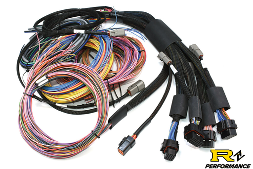 Haltech NEXUS R5 + Universal Wire-in Harness Kit Length: 2.5m (8')- HT-195200