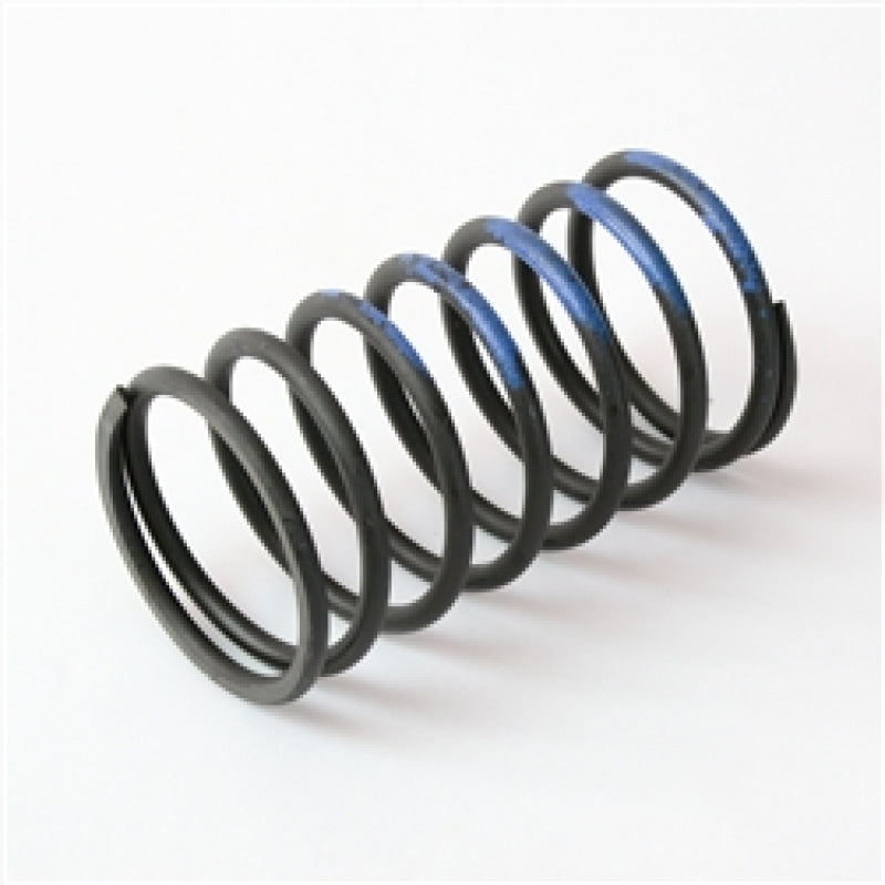 Wastegate Springs